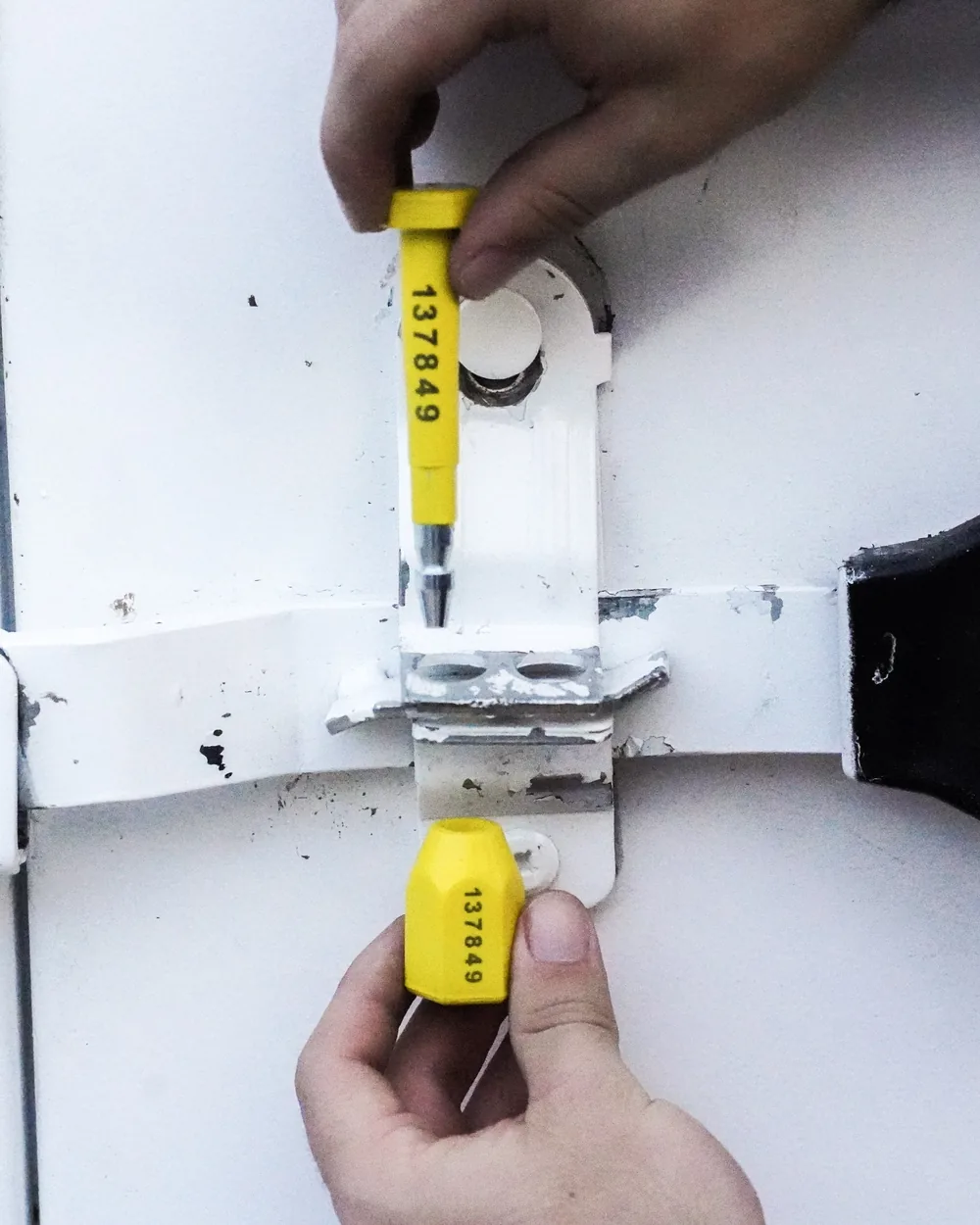 Instalación de un sello de seguridad Bison en la puerta de un contenedor